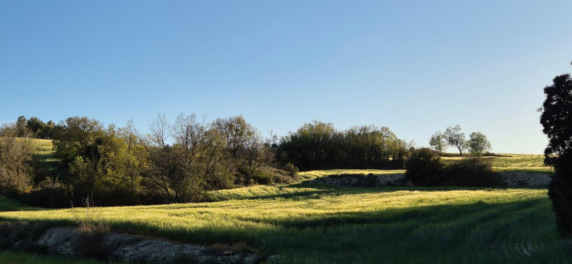 Can Gasol Turisme Rural Guialmons Extérieur photo